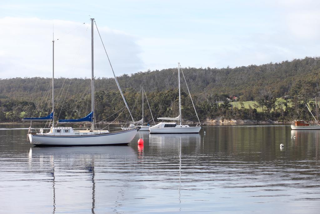 Hostal Tranquil Point Cygnet Exterior foto