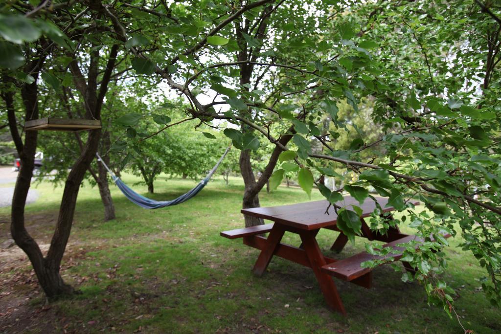 Hostal Tranquil Point Cygnet Exterior foto